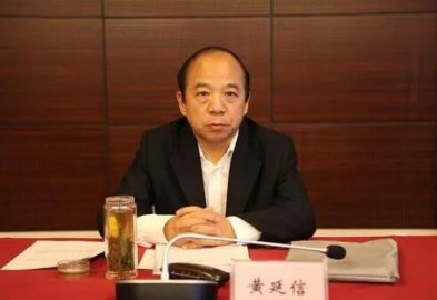 中国农业经济学会副会长黄延信解答农村