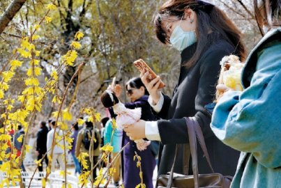 北京市属公园清明假期将举办40项春游活动