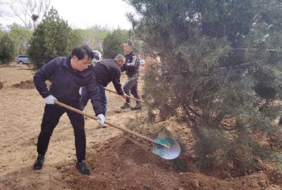 北京通州干部群众参加义务植树活动36项创森指标全部达到国家标准