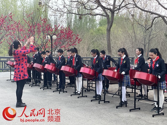 林间花海畔来一场视听盛宴！首届北京森林城市艺术节开幕