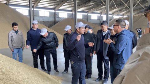 宁夏农科院专家献计献策 助推水稻产业高质量发展