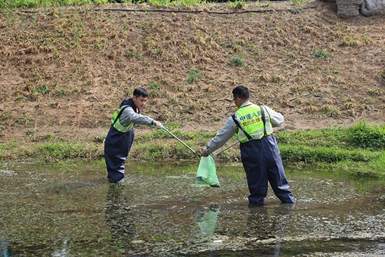 大兴积极开展河道垃圾清理营造干净水环境