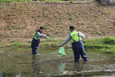大兴积极开展河道垃圾清理营造干净水环境