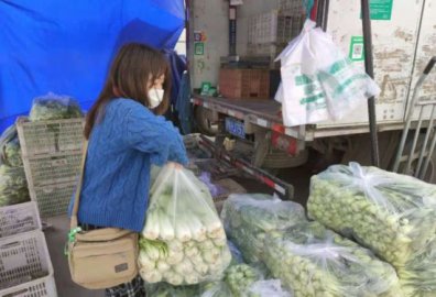 新发地蔬菜产地北移批发价月内下降12.5%菜更新鲜