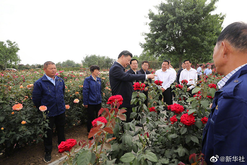  习近平在河南南阳考察调研