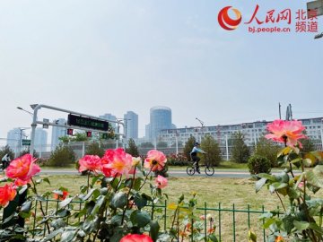 北京：构建慢行“生态”让城市更精致美丽