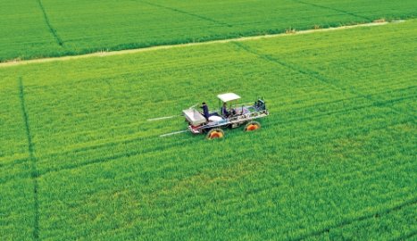 中国农垦高标准引领稻米高质量发展