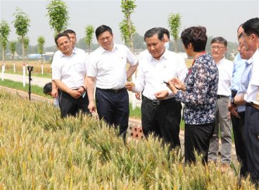 今年河南将打造高标准农田“升级版” 投入128亿元 新建高标准农田750万亩