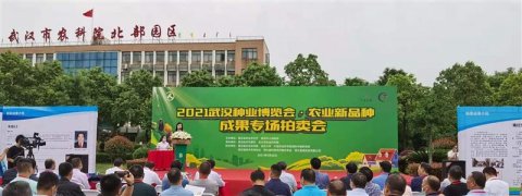 2021武汉种业博览会开幕