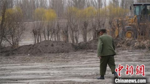 新疆8旬老人“植绿”不停歇：从没放弃植树育苗