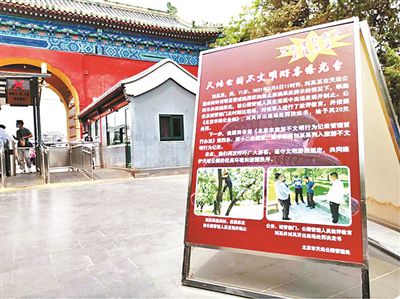 北京：防游客爬树摔伤天坛公园定期摘杏