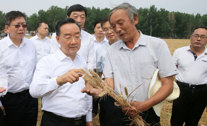 今年夏粮再获丰收 产量再创历史新高