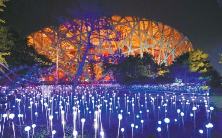 北京营造欢乐喜庆节日氛围5万只彩灯鸟巢边绽放“花海”