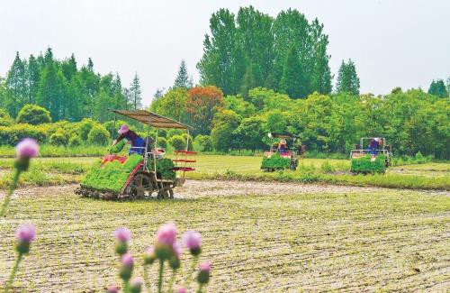 创新服务 搭建行业深度交流平台