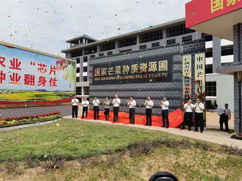 首届中国芒果产业大会在广西百色开幕