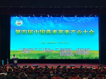 第四届中国燕麦荞麦产业大会召开