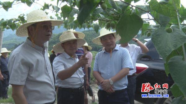 湖南师范大学周俊武一行：到邵阳市绥宁