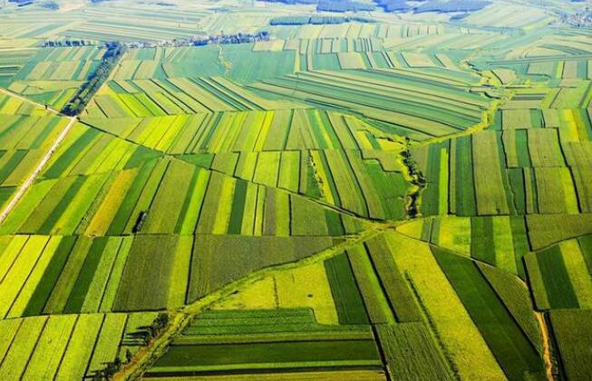 十四五时期绿色有机地标农产品发展的重要战略机遇期