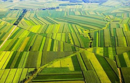 “十四五”时期 绿色有机地标农产品发展