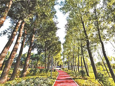 打造三级新城公园体系北京顺义计划2023年建成国家森林城市