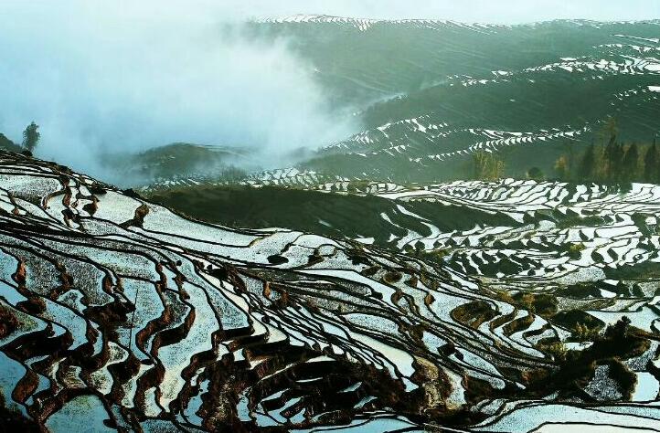 绿了山林 红了日子——云南省红河州打造乡村振兴林业样本