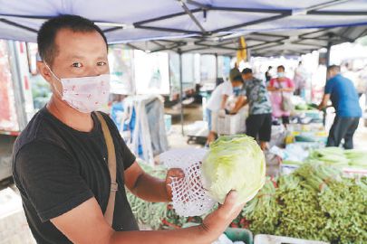 北京新发地小品种蔬菜价格冲高回落