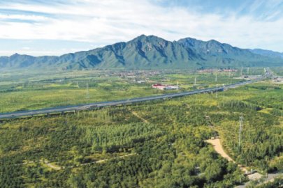 北京新一轮百万亩造林完成80%万亩以上大尺度森林湿地29处