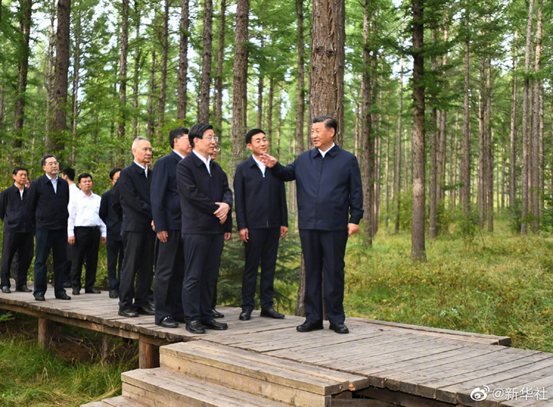  习近平在塞罕坝机械林场考察调研