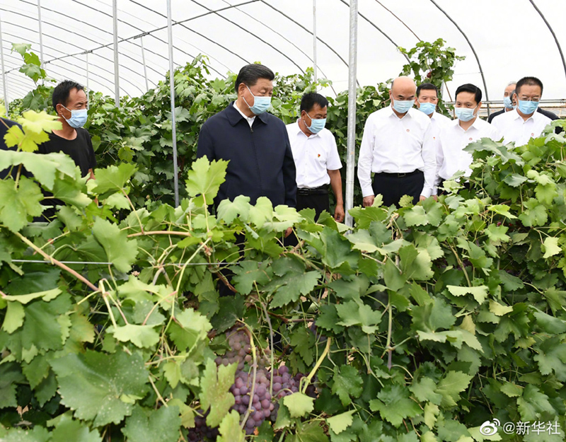  习近平在绥德考察调研