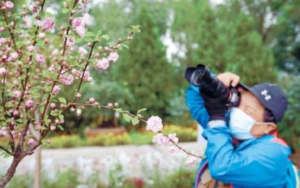 2021北京秋季新优花卉品种展示会开幕300余种新优花卉亮相