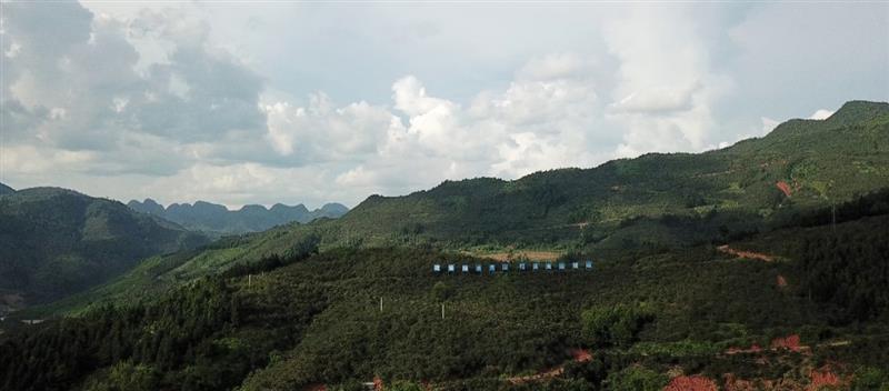 广西：小小山茶油，绘就乡村振兴大图景