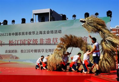 松江“云间粮仓”打开中国农民丰收节上海喜庆帷幕