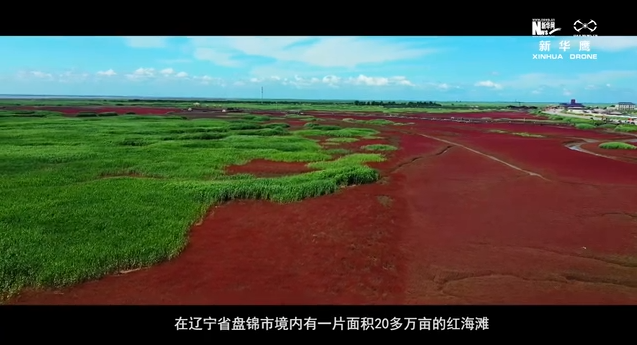 【“飞阅”中国】九月“最美”红海滩