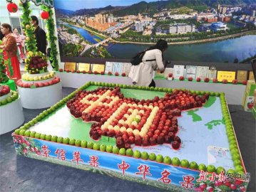 庆丰收 感党恩 ——崇信县2021年中国农民丰收节庆祝活动侧记