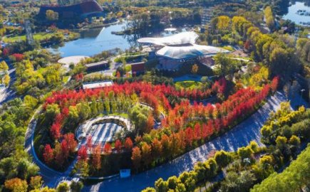 北京世园公园举办红叶节满足市民秋游赏红叶需求