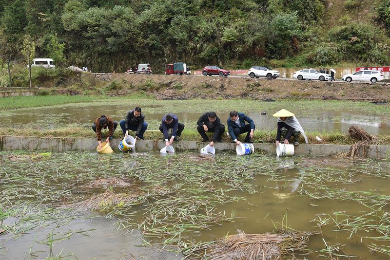 首批2.9万斤鱼苗帮扶贵州省台江县生态养殖
