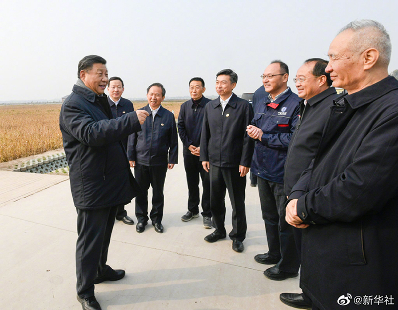  习近平谈发展抗盐碱作物战略意义