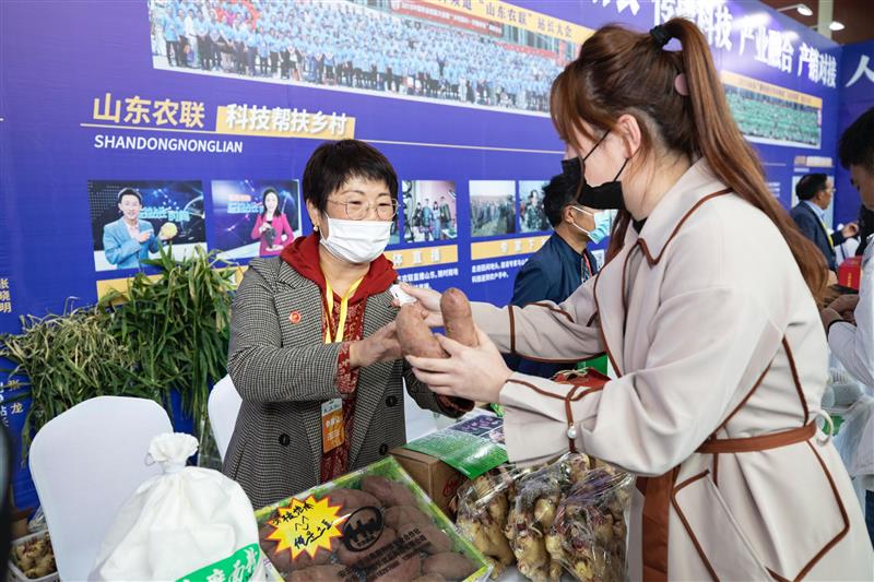 第四届中国(山东)农业创富大会在青开幕