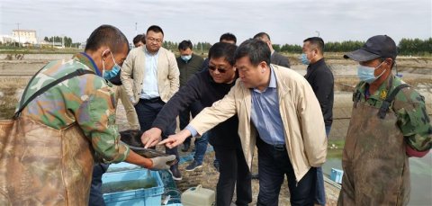 黑龙江抓住南渔北移机遇加速渔业发展