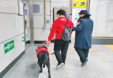 无障碍相关条例施行首日导盲犬进入公共场所有温情也有遗憾