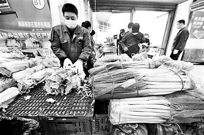 北京冬储菜上市：产地直采供应市场让利市民