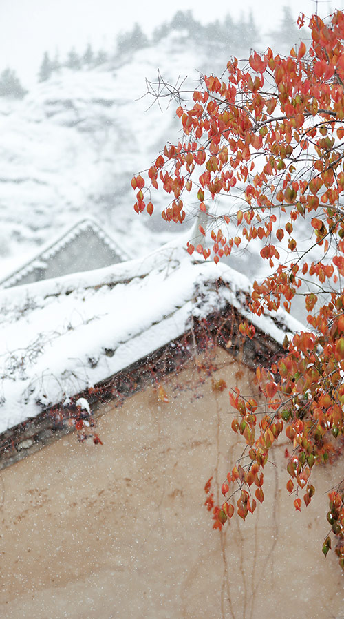 北京迎初雪 古北水镇展现“北国江南”冰雪画卷。陈永利 摄