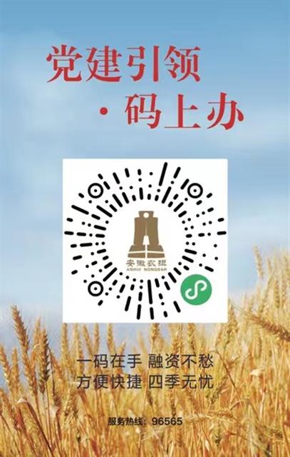 安徽省推出“党建引领·码上办”农信码 三农主体扫一扫，即可申请贷款服务