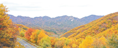 京郊大山里的市场监管所:帮扶小微市场主体快速成长