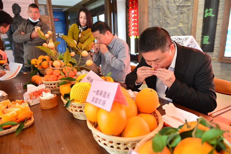 福建福清市举办状元橙文化节