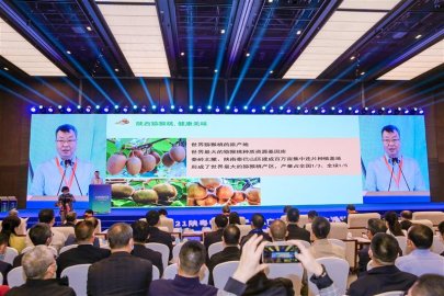 陕粤农业合作再深化 打造省级合作农产品销售新模式
