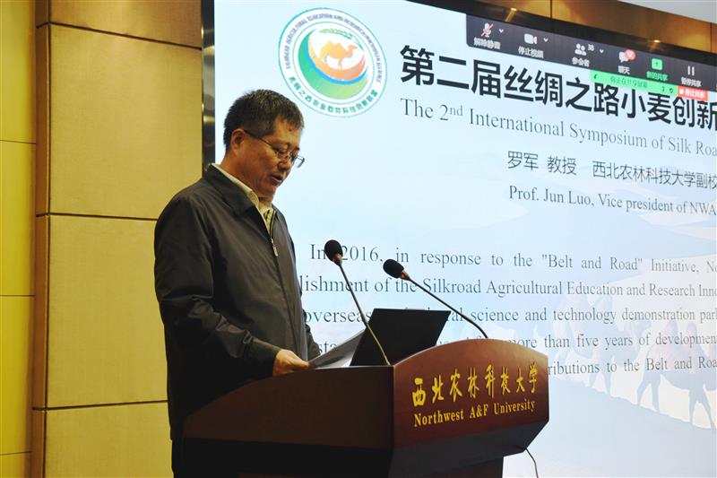 第二届丝绸之路小麦创新联盟国际研讨会杨凌召开