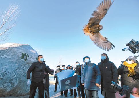 延庆野鸭湖频频发现“新物种”