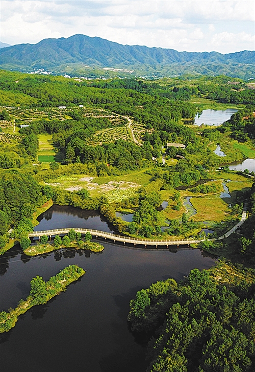 ​福建长汀推进水土流失治理成效显著——人与青山两不负