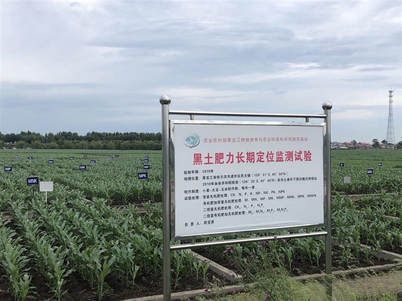 东北黑土保护利用与粮食持续生产技术高峰论坛召开